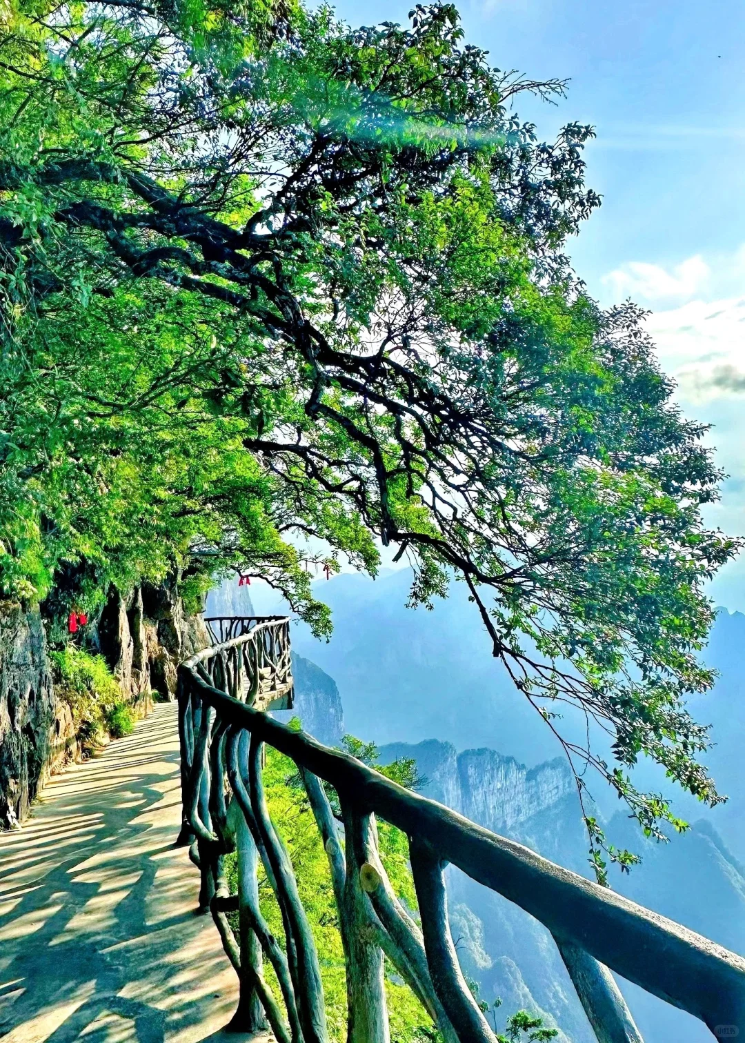 探秘仙境张家界