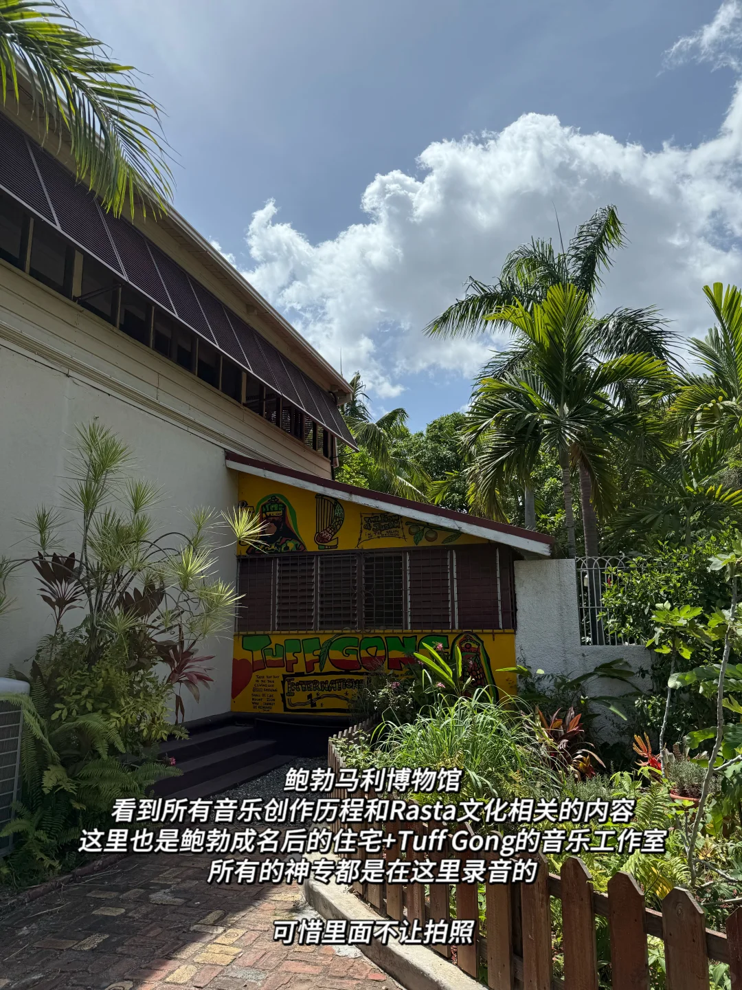 22岁 一个人背包旅行第60国 牙买加🇯🇲