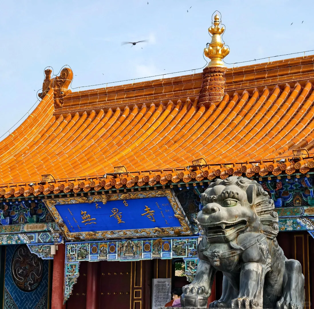 酷夏高温来袭，草原避暑真香警告📍