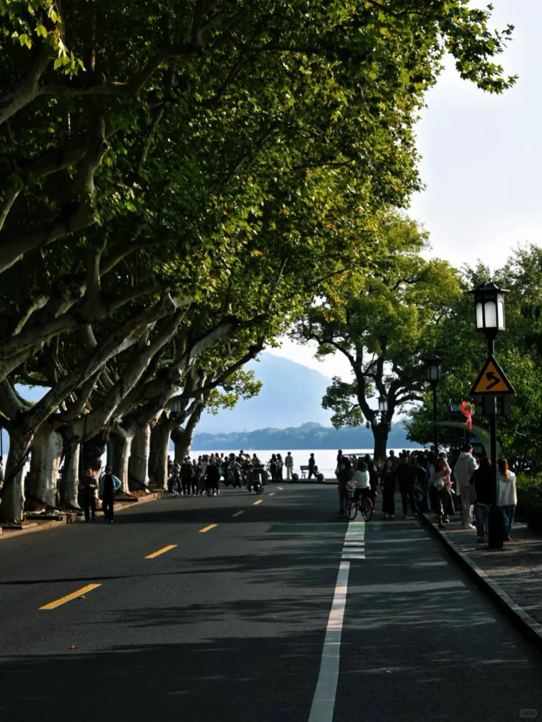 每个来杭州的朋友都会被我带来这里......