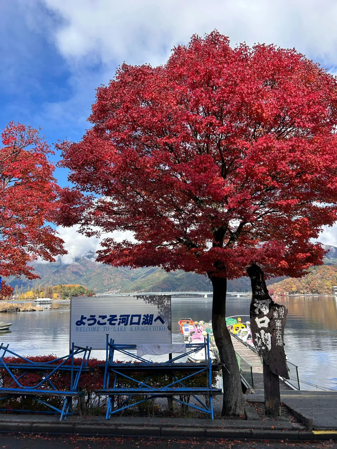 实话难听，但这就是日本旅游真实现状😥
