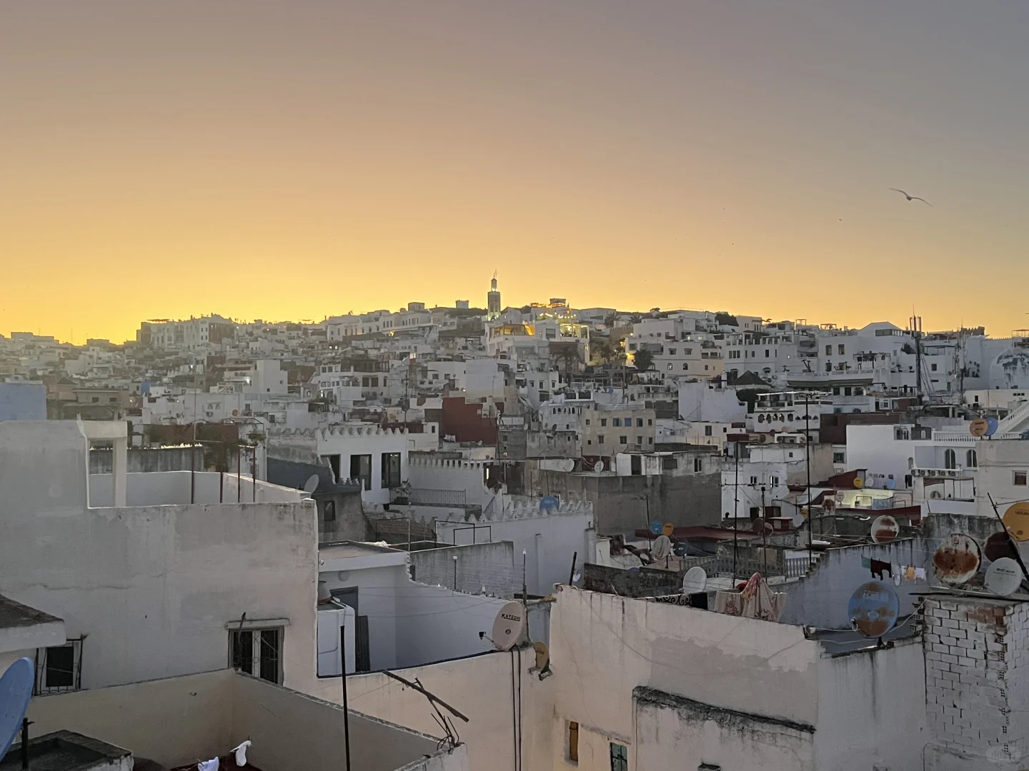 🇲🇦摩洛哥女生solo trip的一点经验