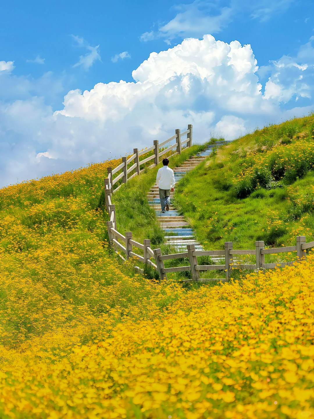 不是新疆去不起！而是安吉更具性价比！！！