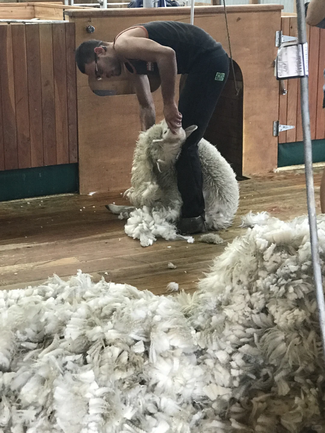 新西兰和瑞士区别