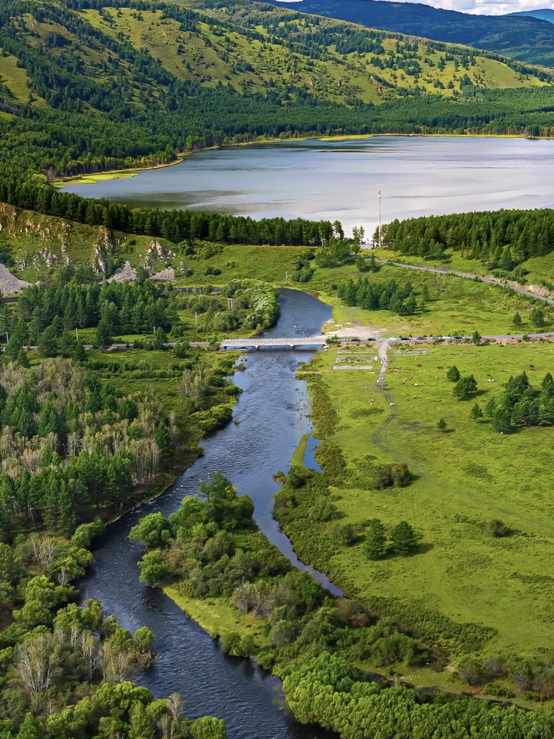 救命！这 5 个城市偷偷开了 16℃空调吧🌬