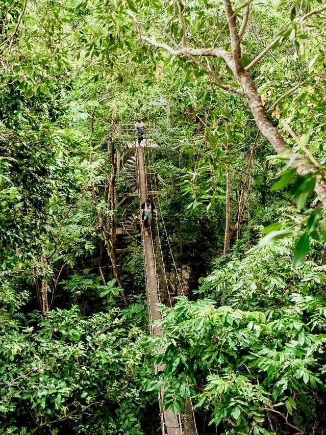 免签🇼🇸萨摩亚｜南太平洋“伊甸园”小众便宜