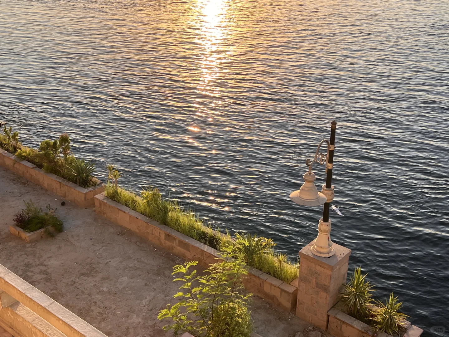 埃及的可玩性真的top级别的存在