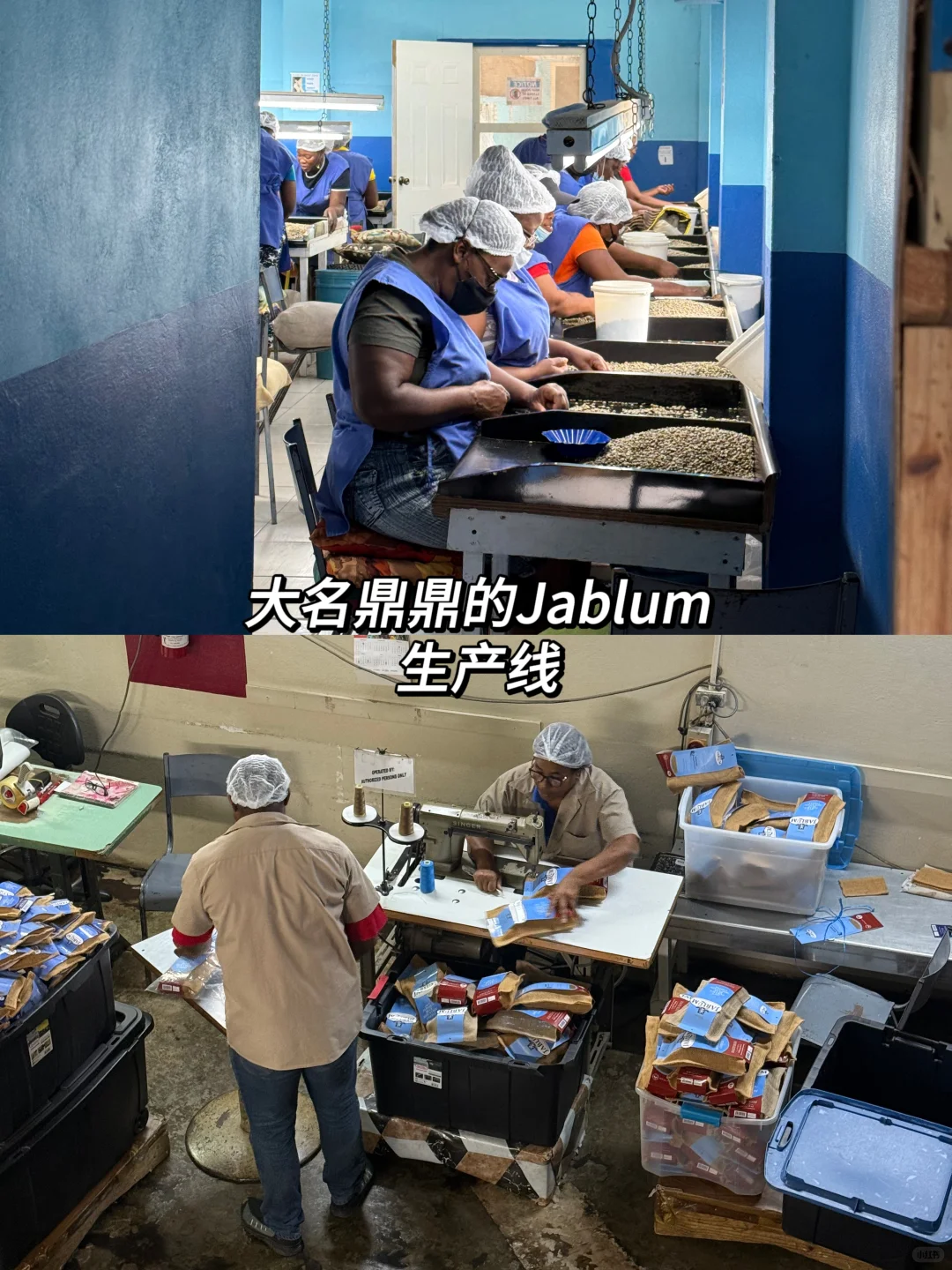 22岁 一个人背包旅行第60国 牙买加🇯🇲