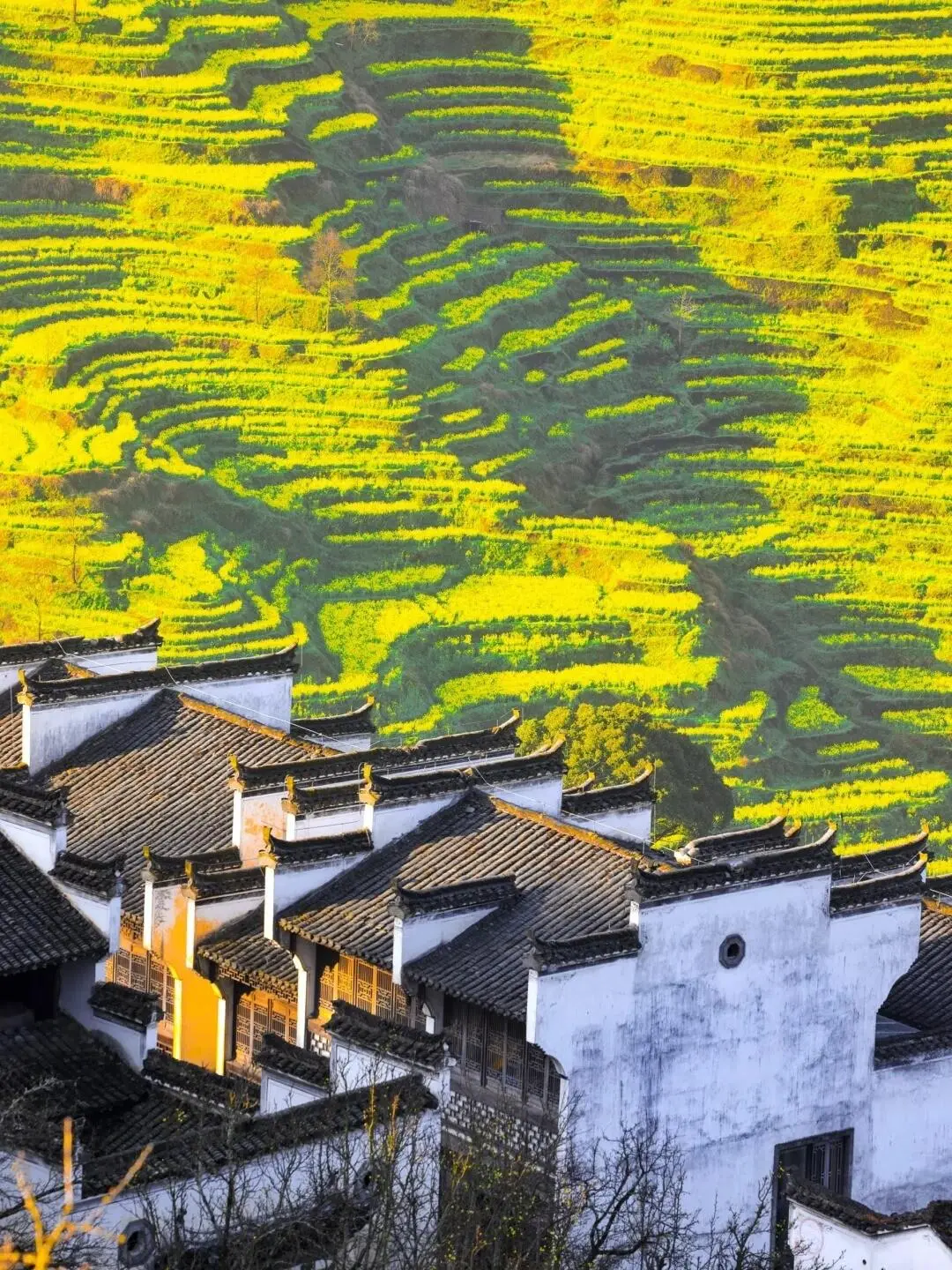 📍上饶望仙谷|五一必去仙侠世界全攻略