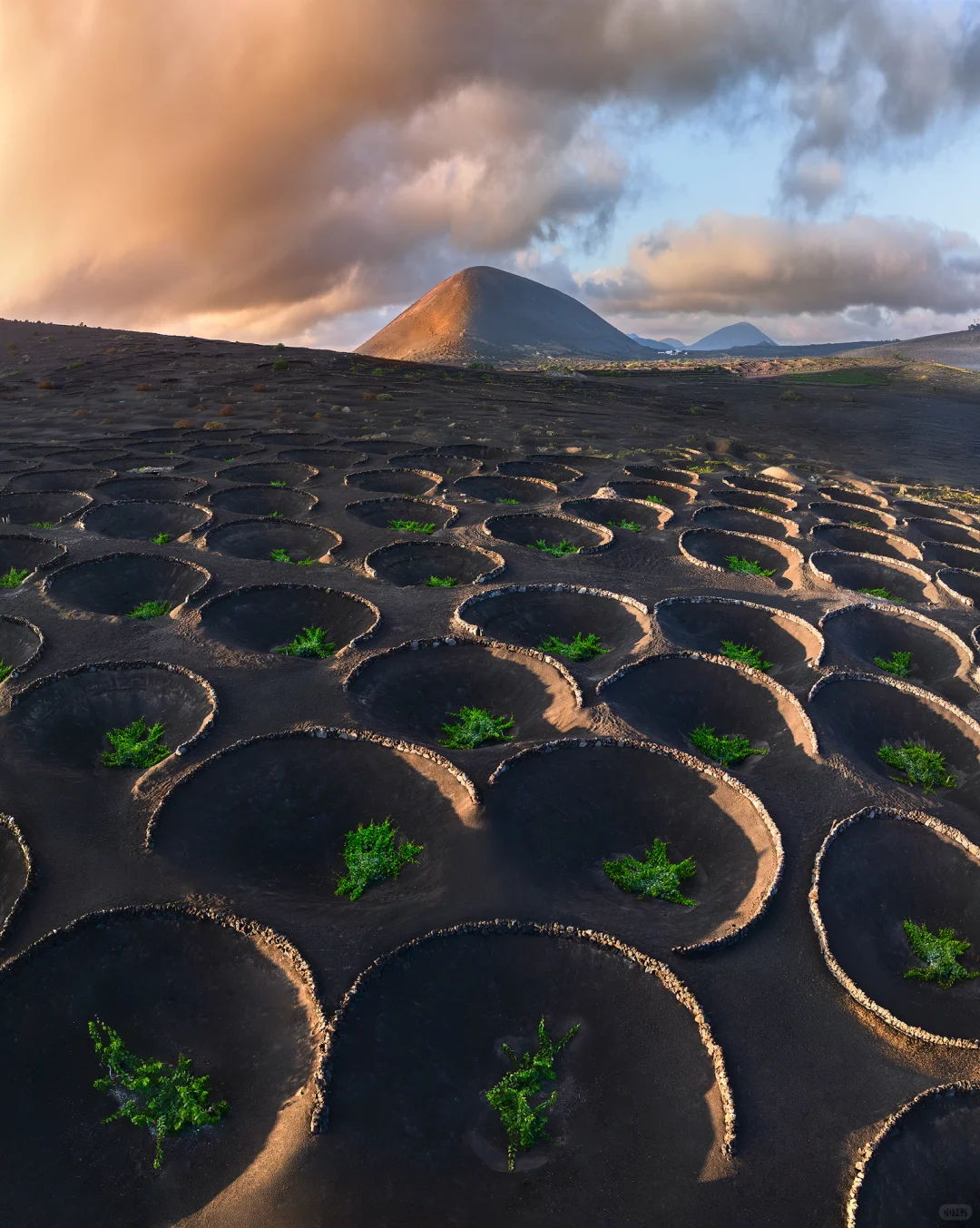 我终于登陆了外星球！这里有上百座火山口