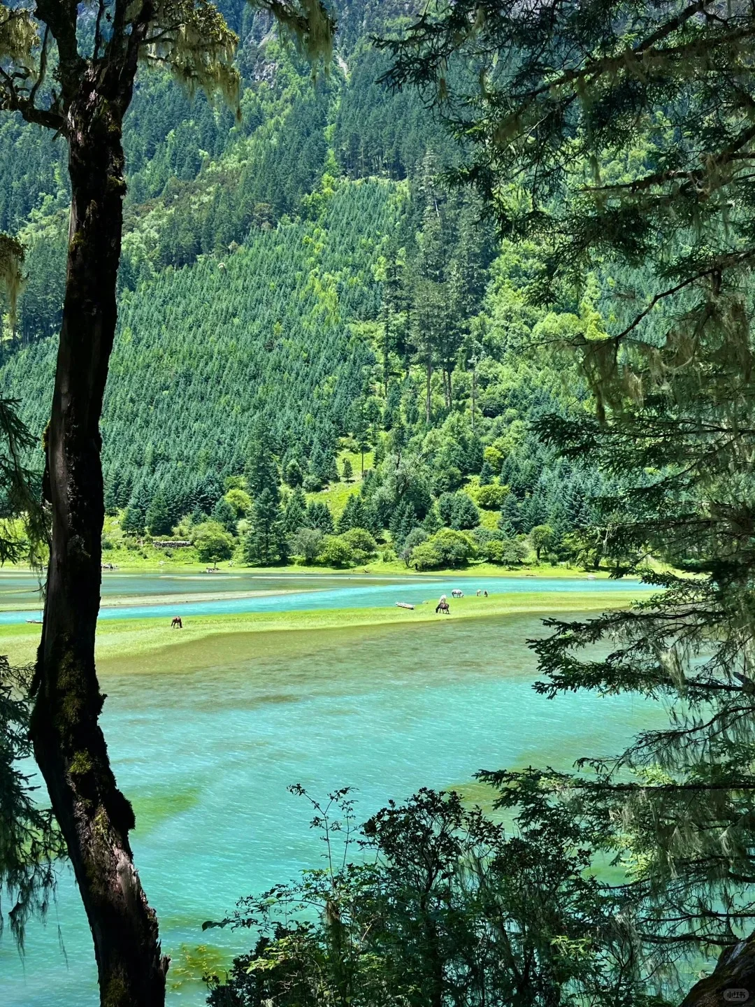 本以为甲根坝够美了！直到我去到了这里……