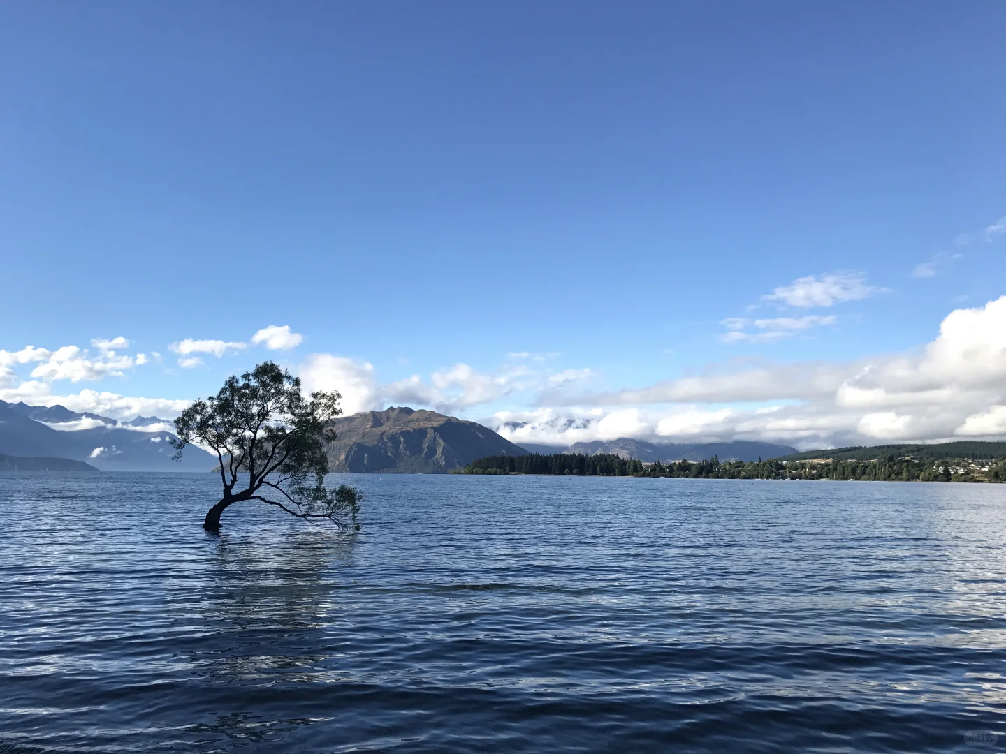 新西兰和瑞士区别