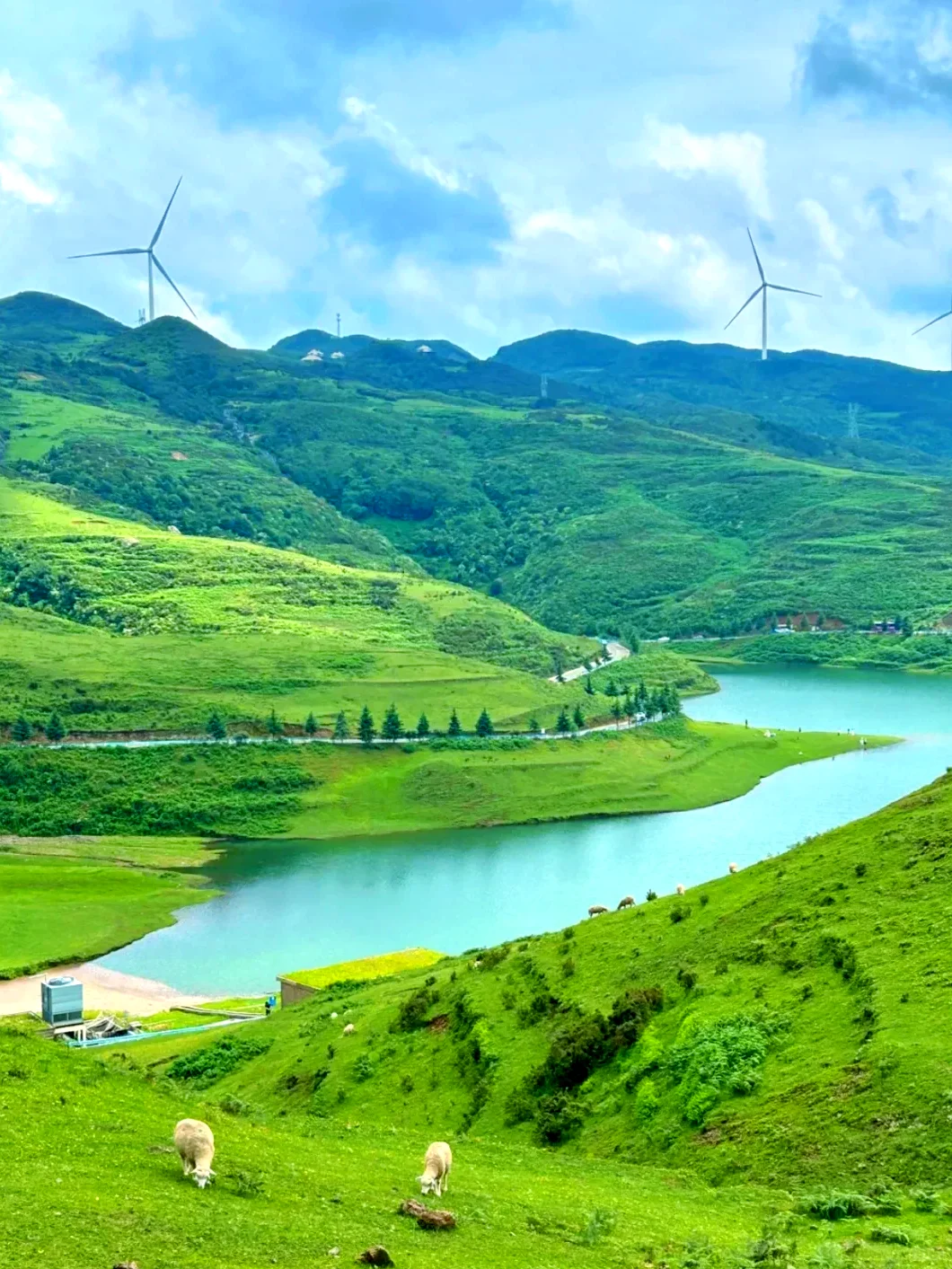 救命！这 5 个城市偷偷开了 16℃空调吧🌬