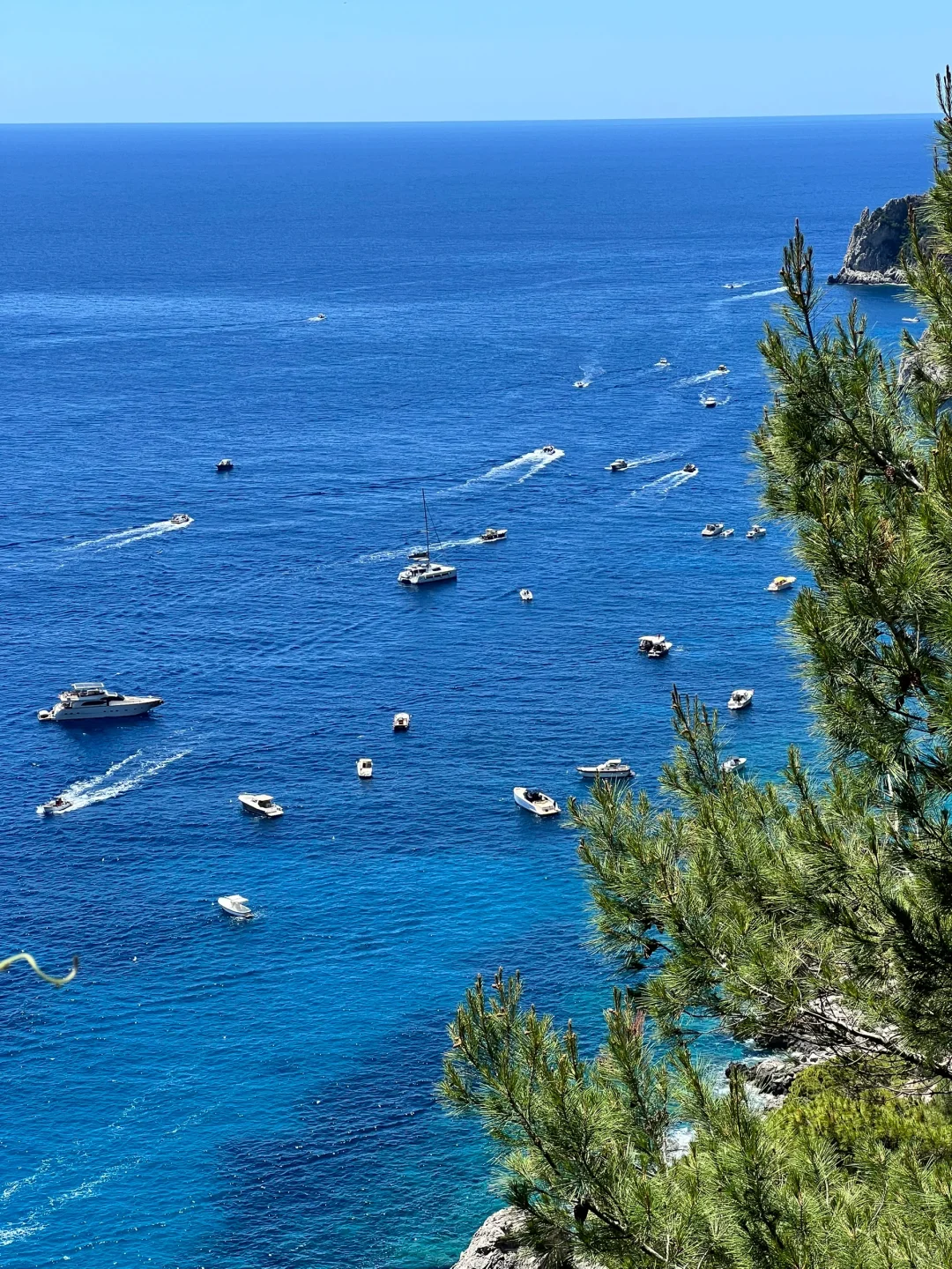 🇮🇹南意后遗症