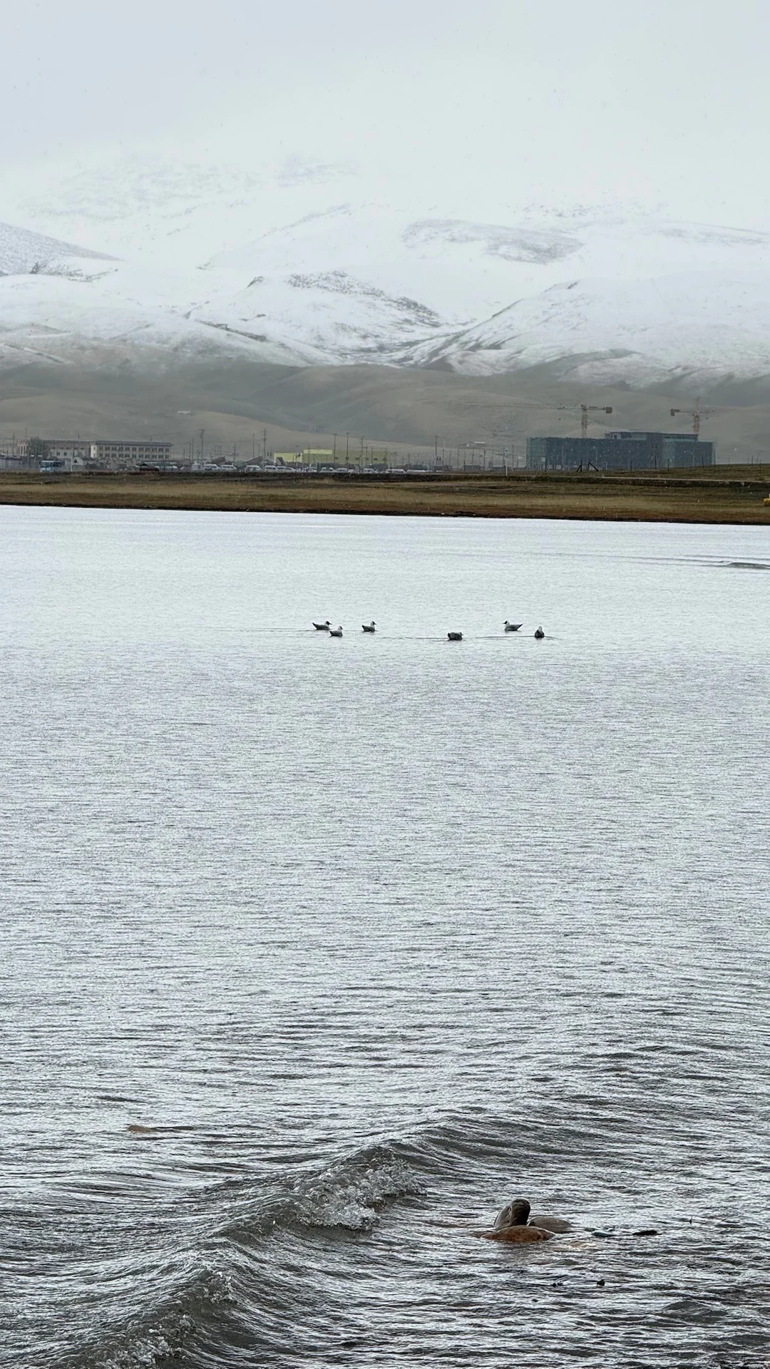西北7天已回，一人勇敢跟团真实感受(永不删