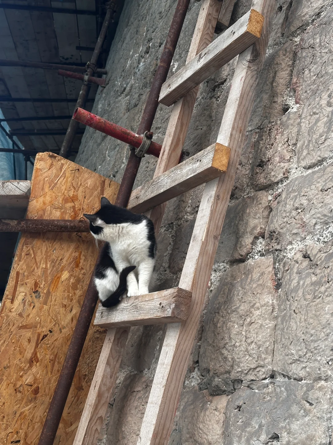 分享一点自己跟自己玩solo trip tips！