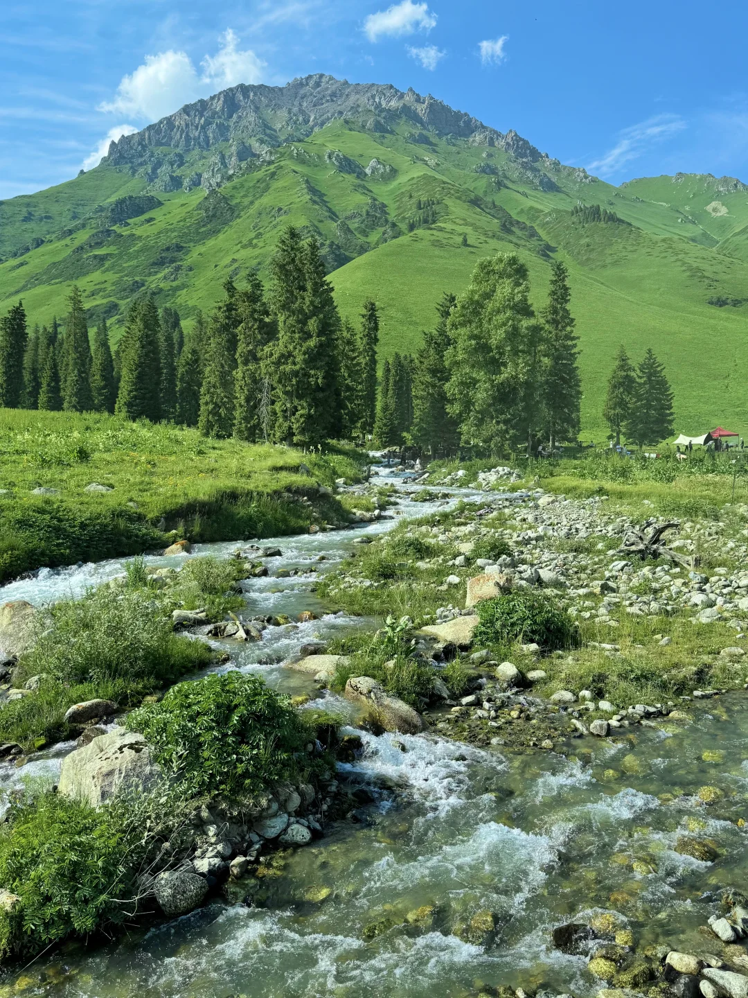 这么近，那么美！