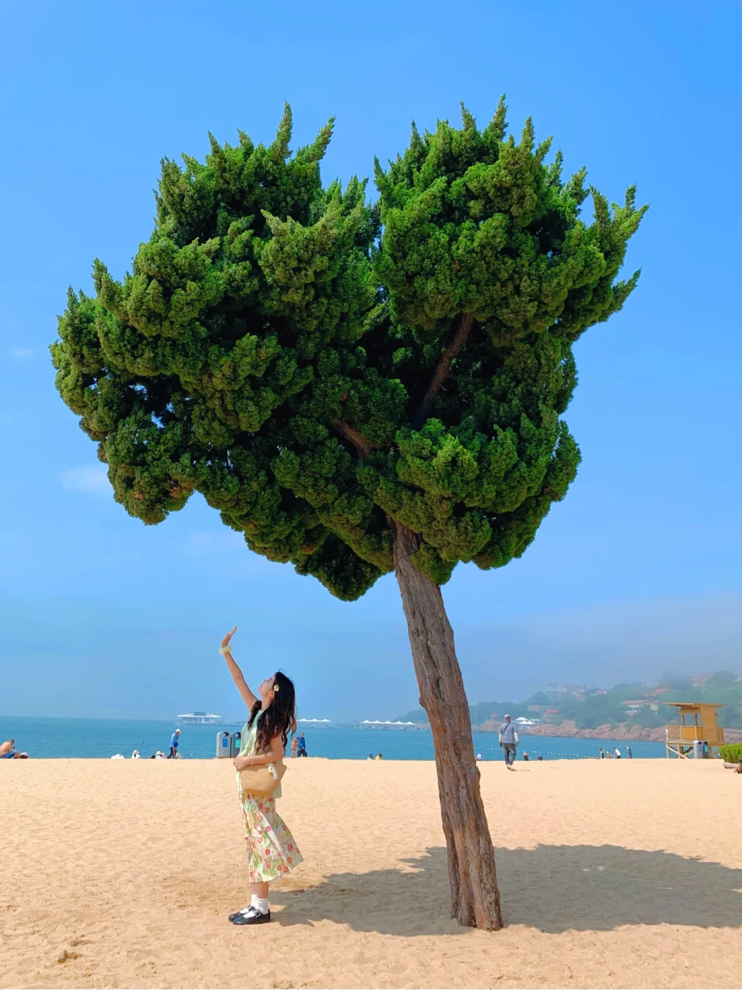 Live实况🌲现在的青岛真的劝退不了一点😭