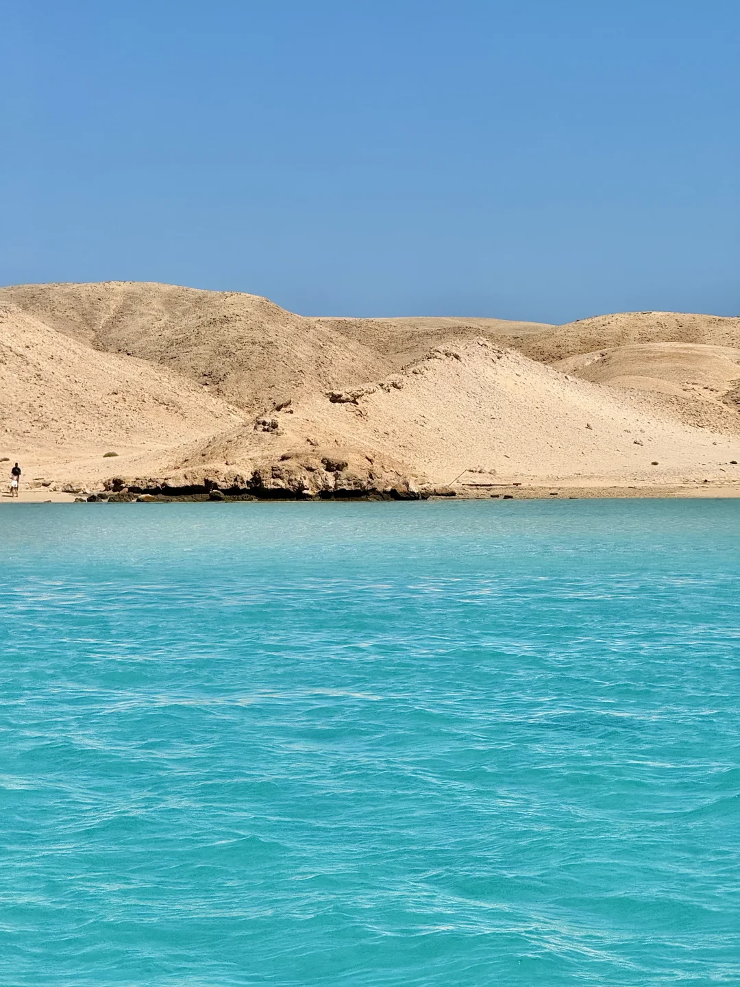 一半红海一半撒哈拉🏜️live感受顶级海张力