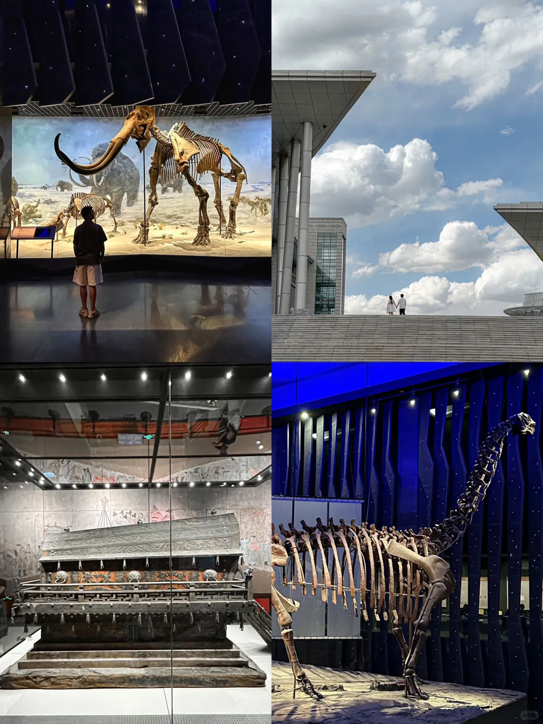 酷夏高温来袭，草原避暑真香警告📍