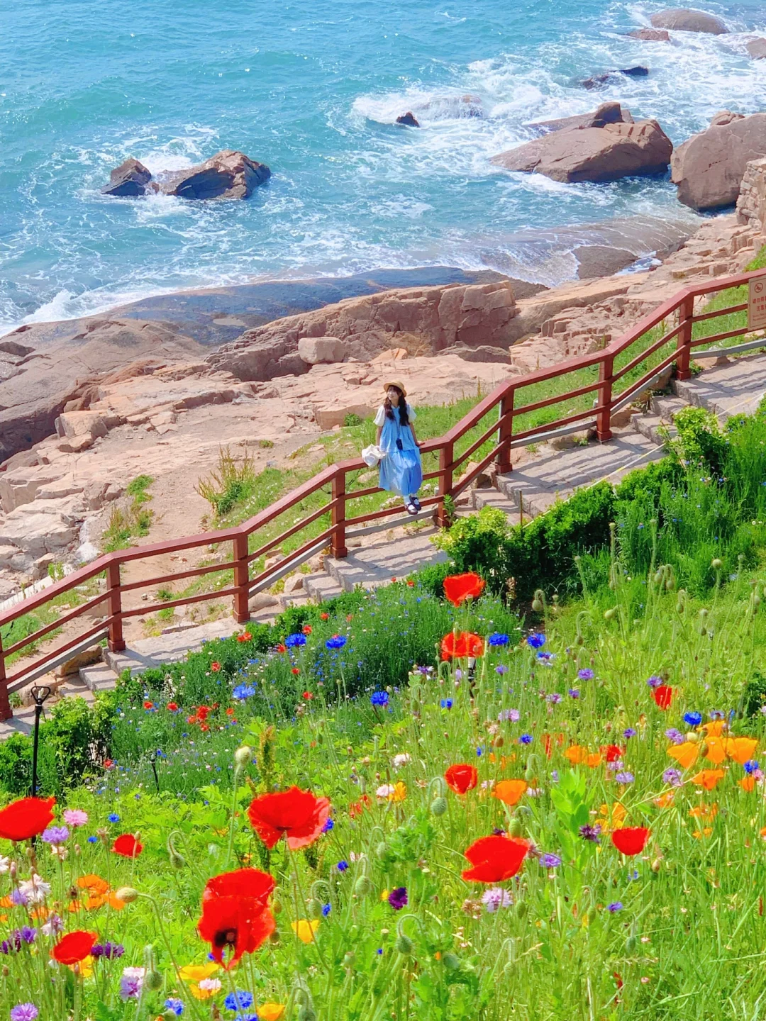 Live实况🌲现在的青岛真的劝退不了一点😭