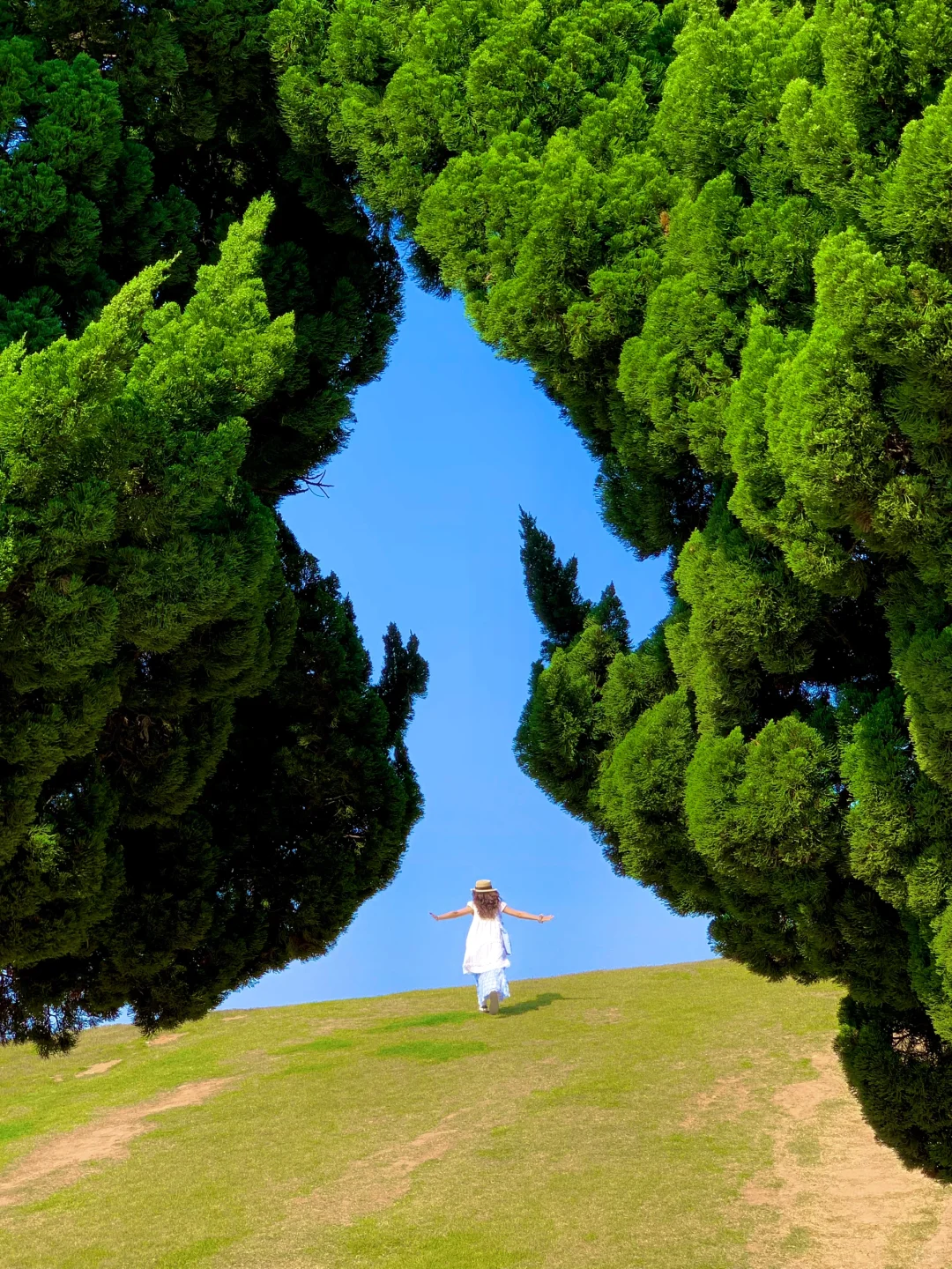 Live实况🌲现在的青岛真的劝退不了一点😭