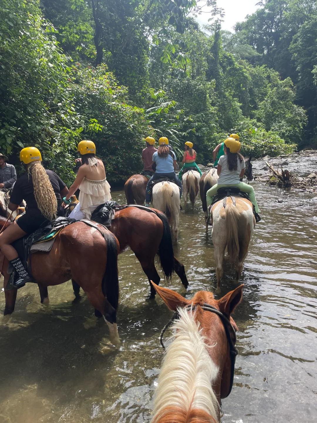 哥斯达黎加5日游小攻略🇨🇷