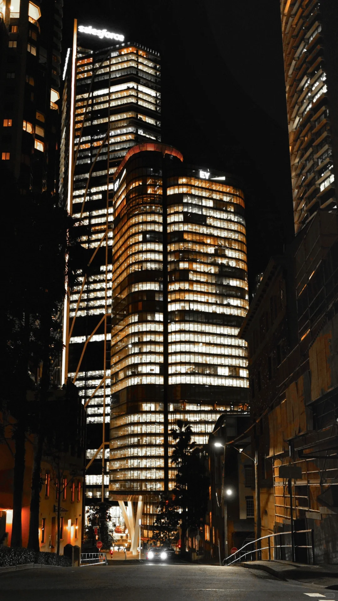 📍拍出了我心中最美的悉尼 2024