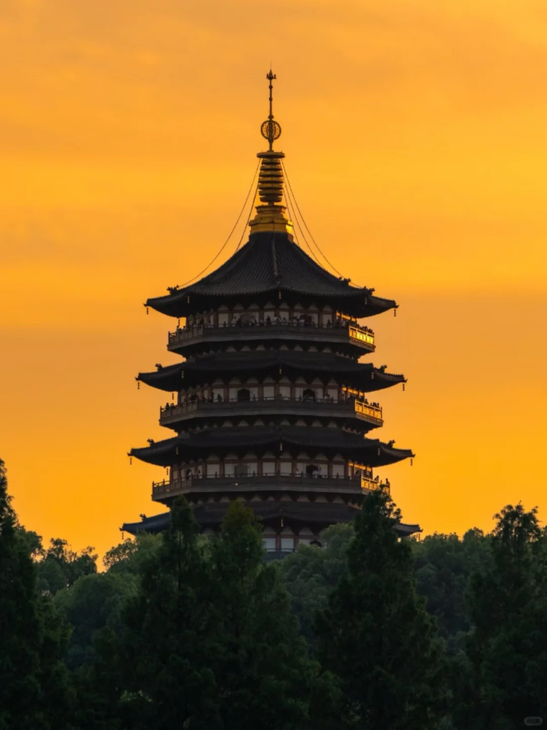 每个来杭州的朋友都会被我带来这里......