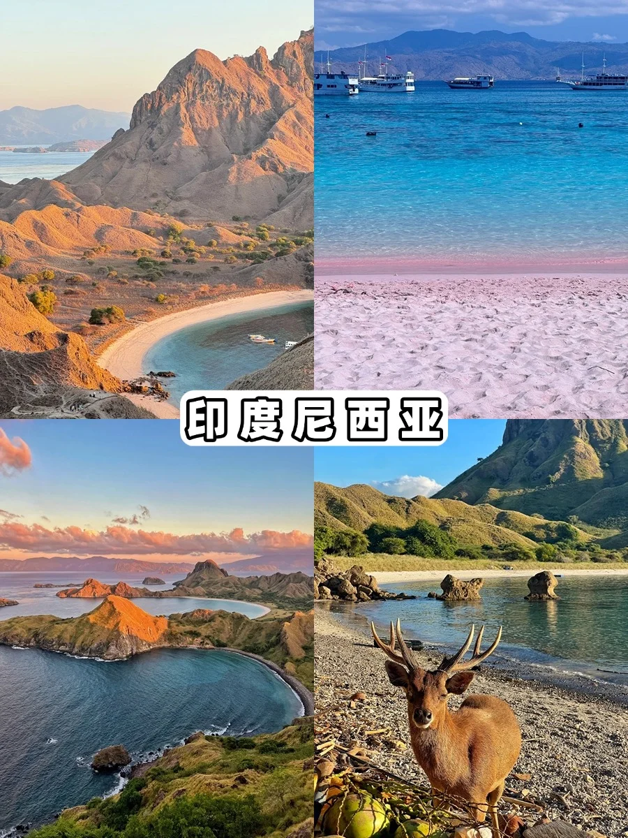 预算3k也能出国玩！适合穷游13个免签国家🌍