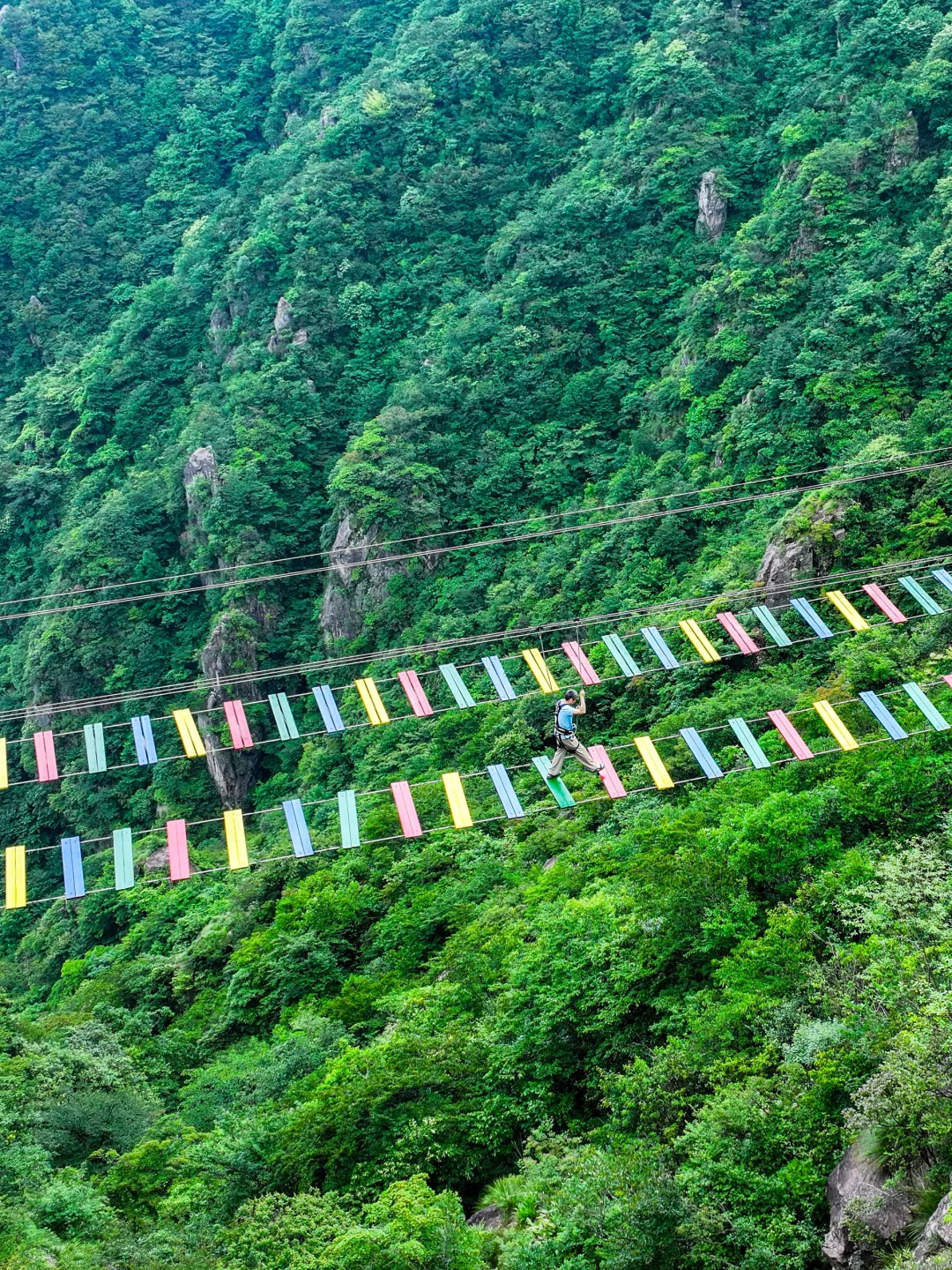 发个朋友圈问疯啦！不在新西兰 在安吉！！
