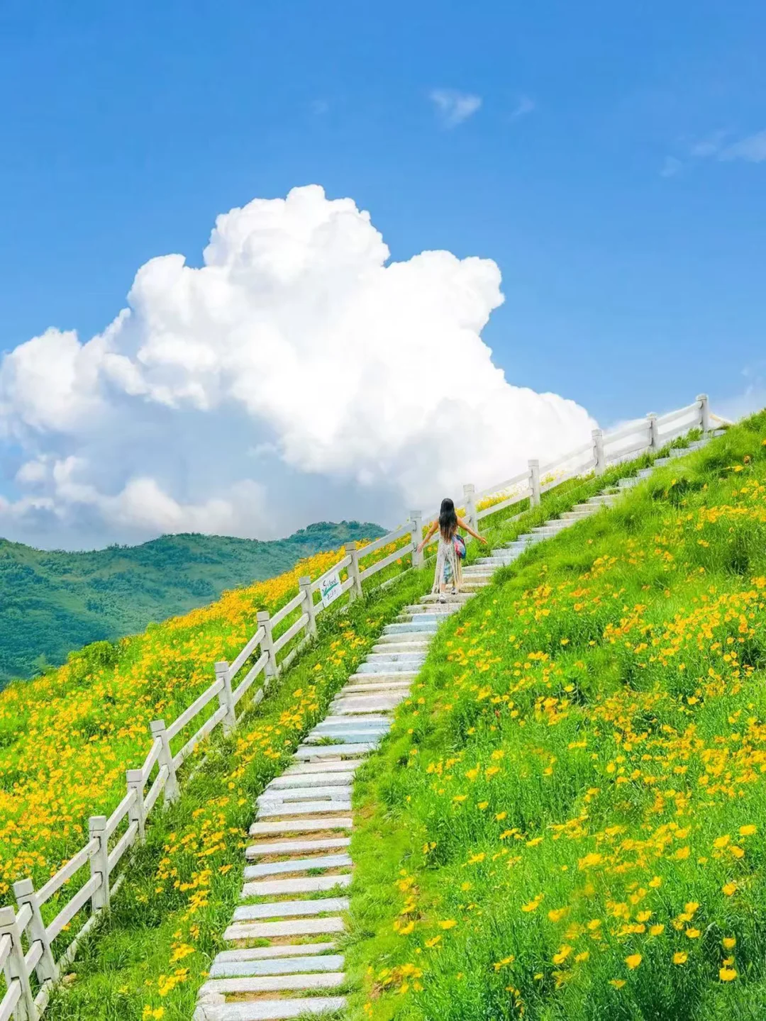 发个朋友圈问疯啦！不在新西兰 在安吉！！