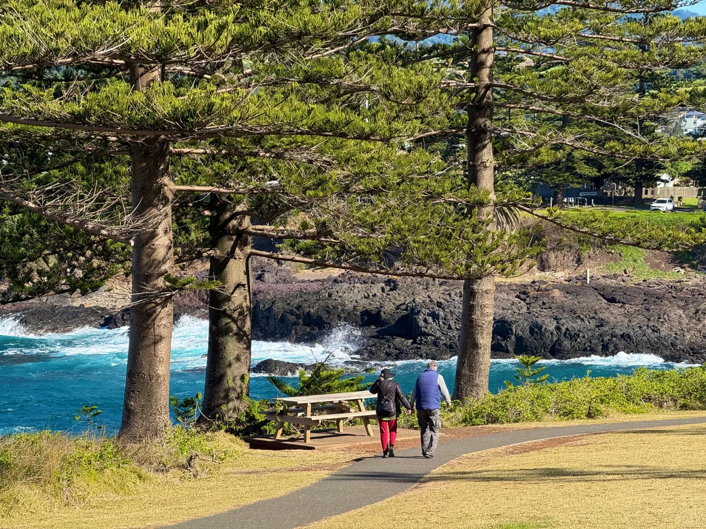 悉尼周边美的我发癫🥹
