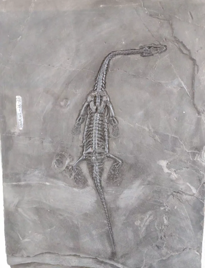 贵州旅游必备清单