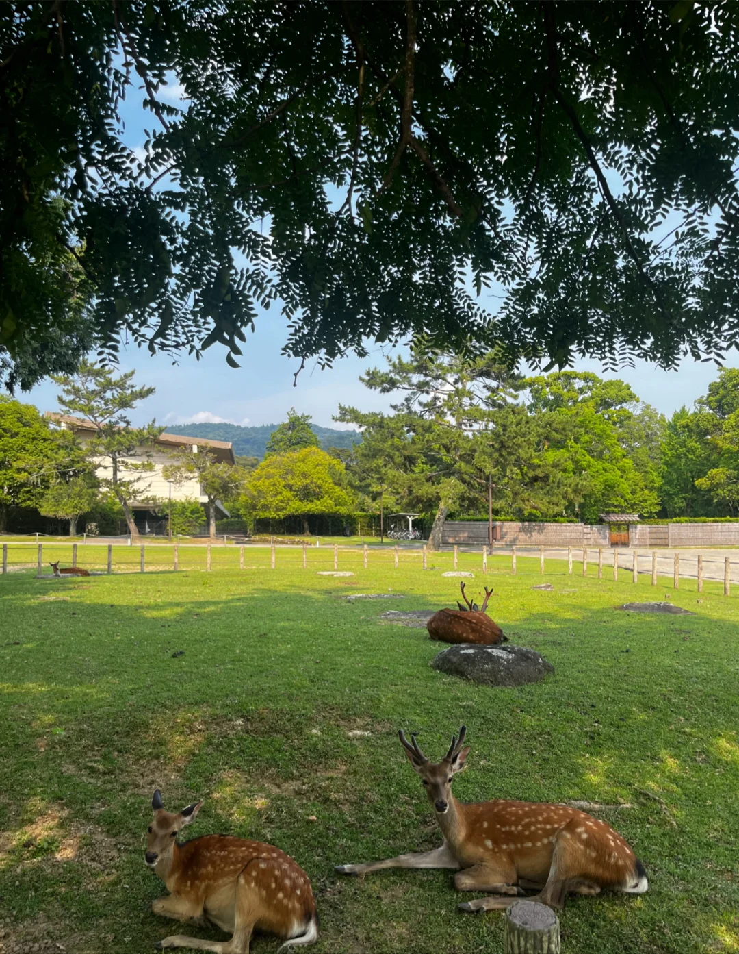 去日本玩了六天，这是我对日本的直观感受