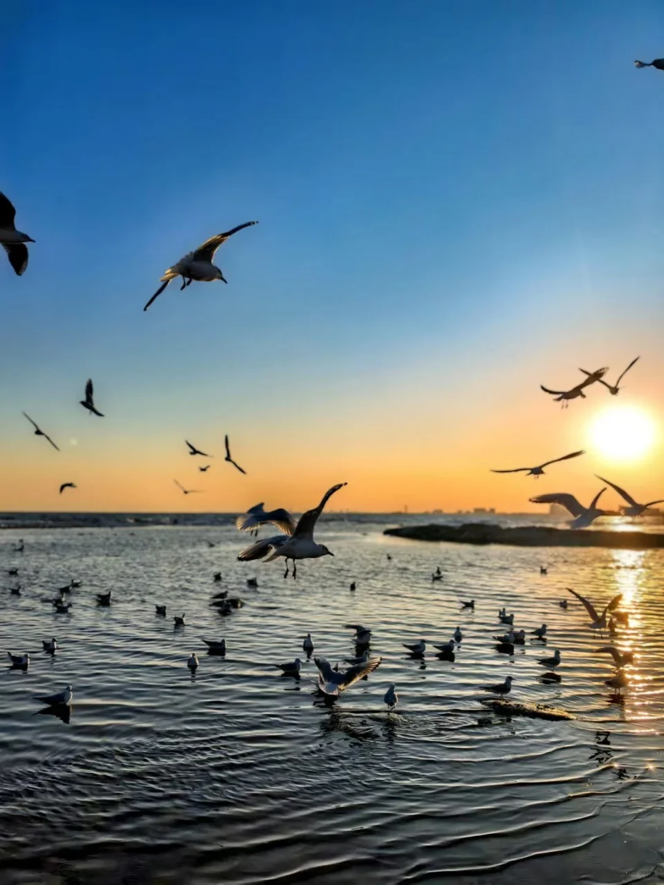 秦皇岛攻略📍必看最值得玩的景点详细汇总