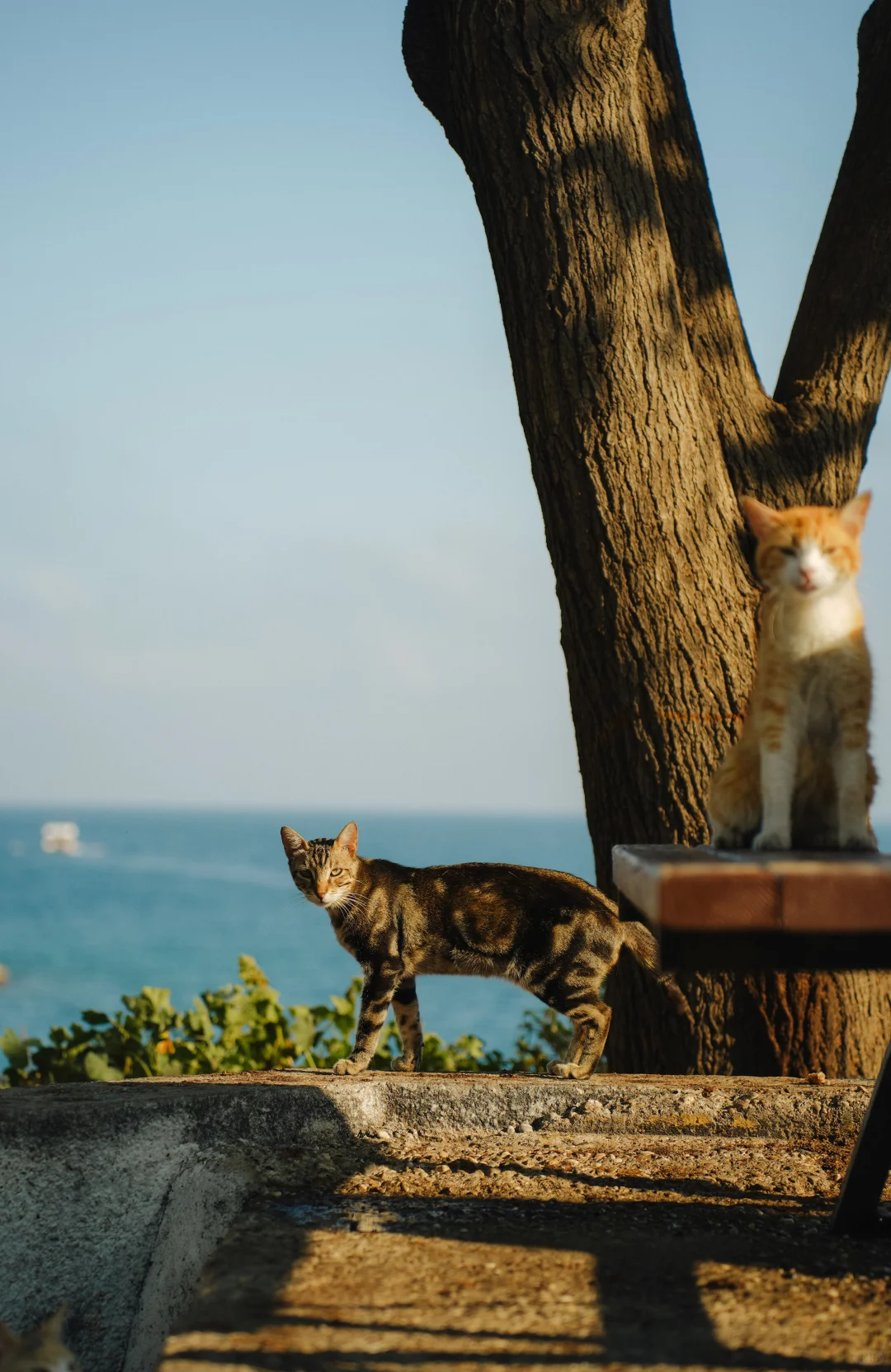 土耳其七天花费4500（含机酒穷鬼大学生版）