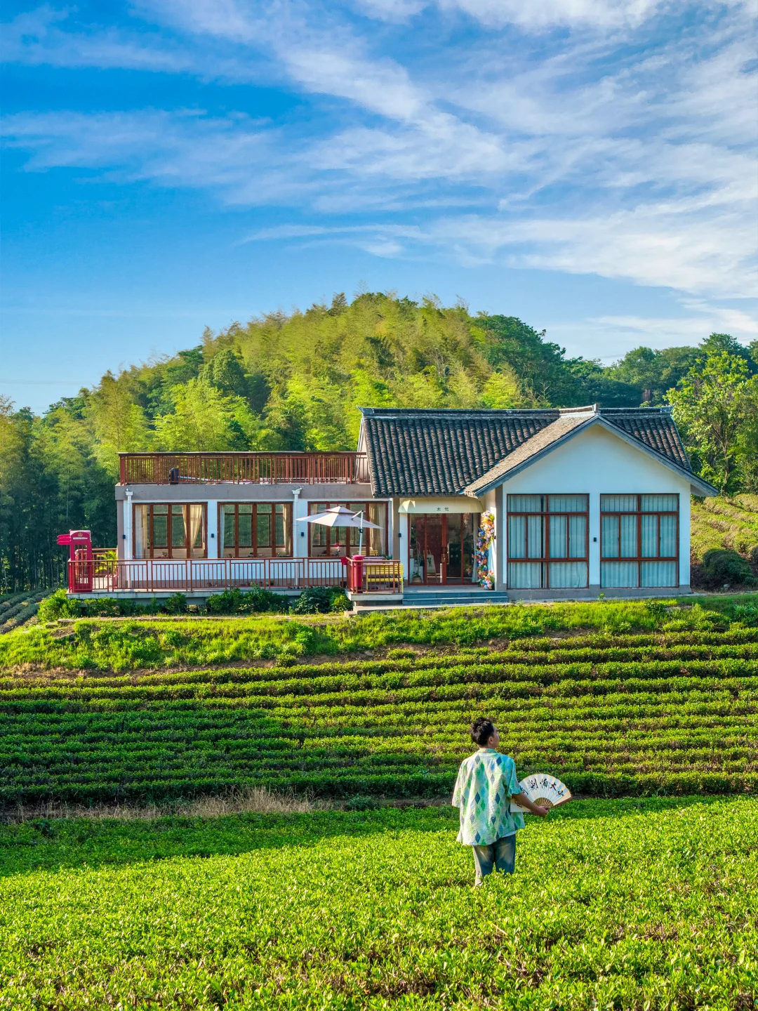 余华没骗我！这确实是江浙沪最治愈的小镇！