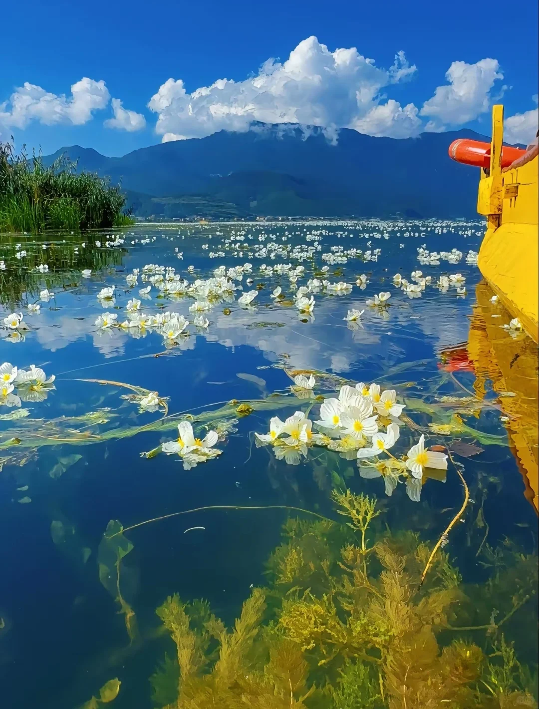 7月泸沽湖保姆级攻略🔥避坑指南+玩法‼️