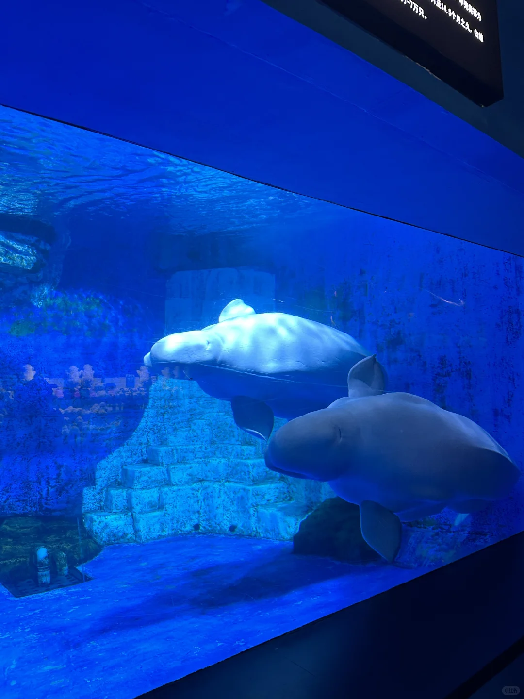 避暑大连！暑假必玩老虎滩攻略！