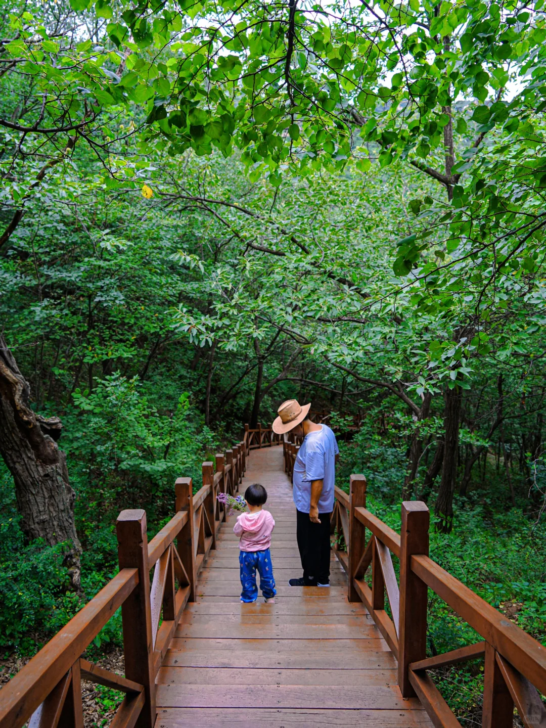 8.30北京初秋值得去的6️⃣个高颜值徒步地❗️