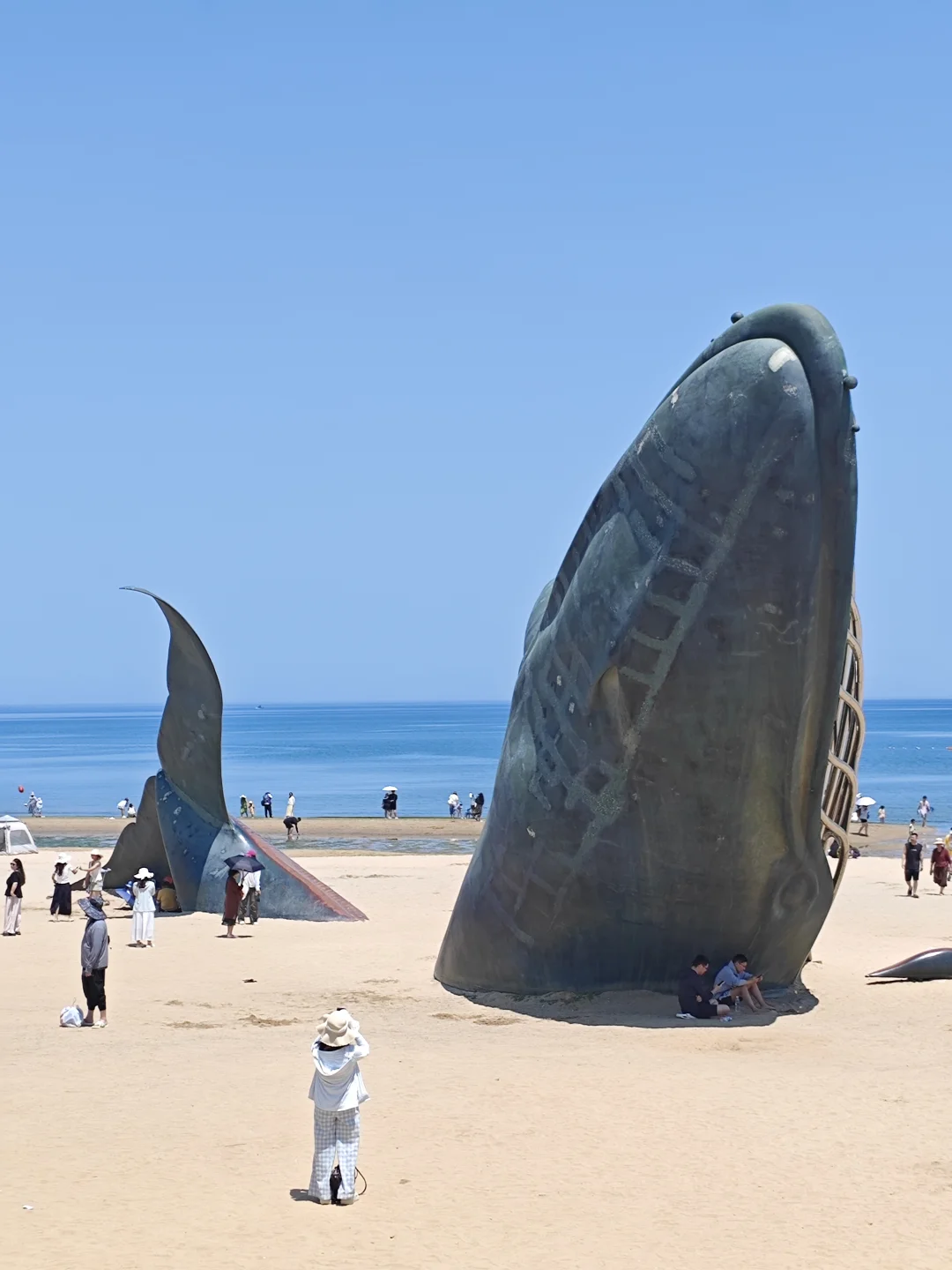 保姆级！大连&烟台&青岛 六日游攻略（1）