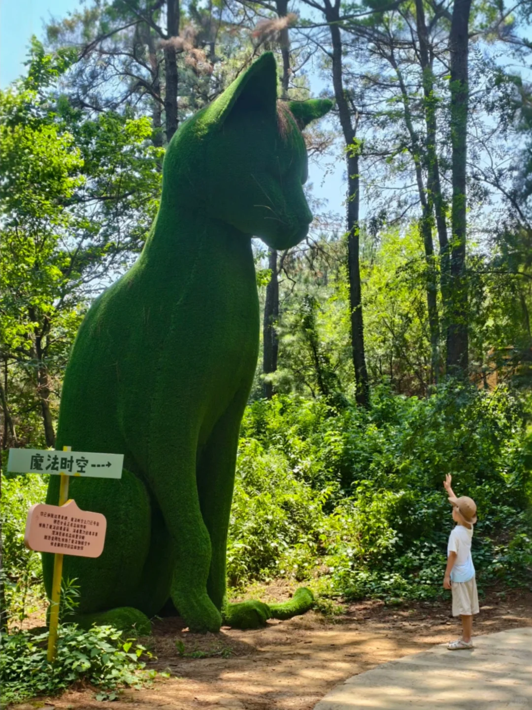 1米就能玩的竹林漂流，江浙沪亲子避暑天花