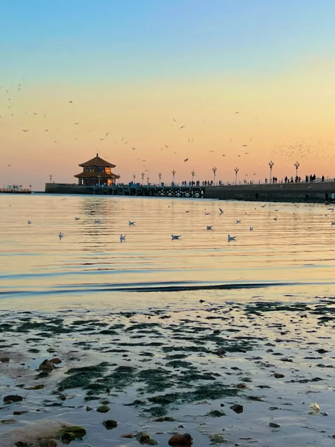 山东F4：青岛/威海/烟台/日照应该怎么选择🌊
