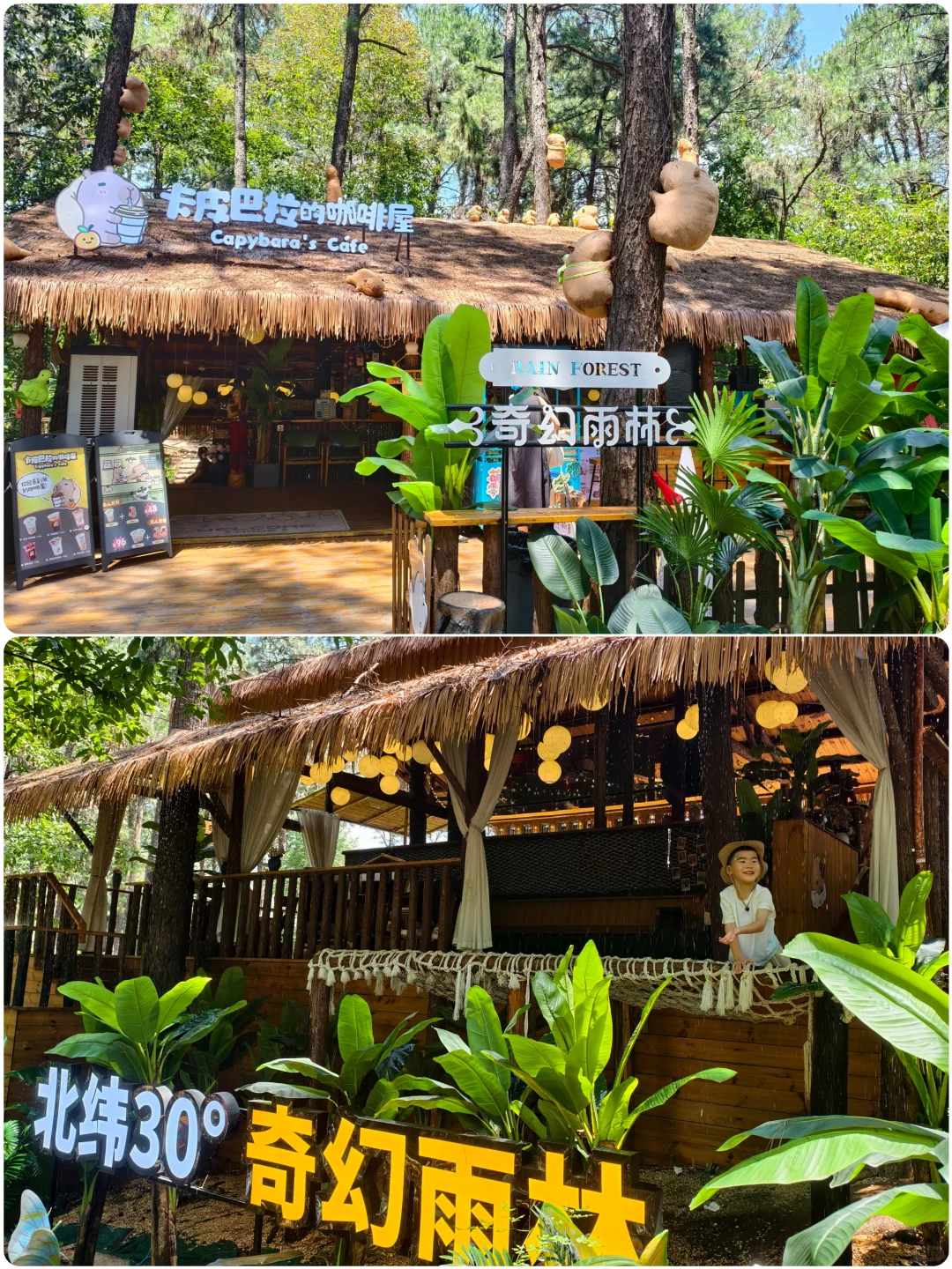 1米就能玩的竹林漂流，江浙沪亲子避暑天花