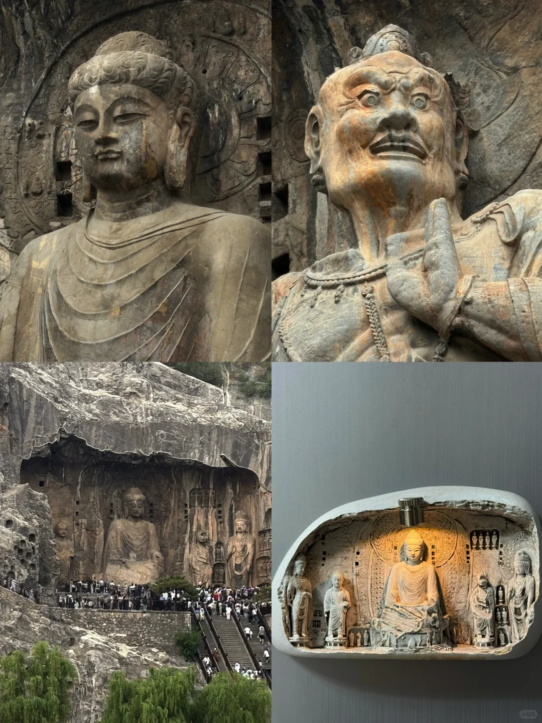 📍洛阳 | 风吹洛阳城，花开盛唐梦（菲佣级攻