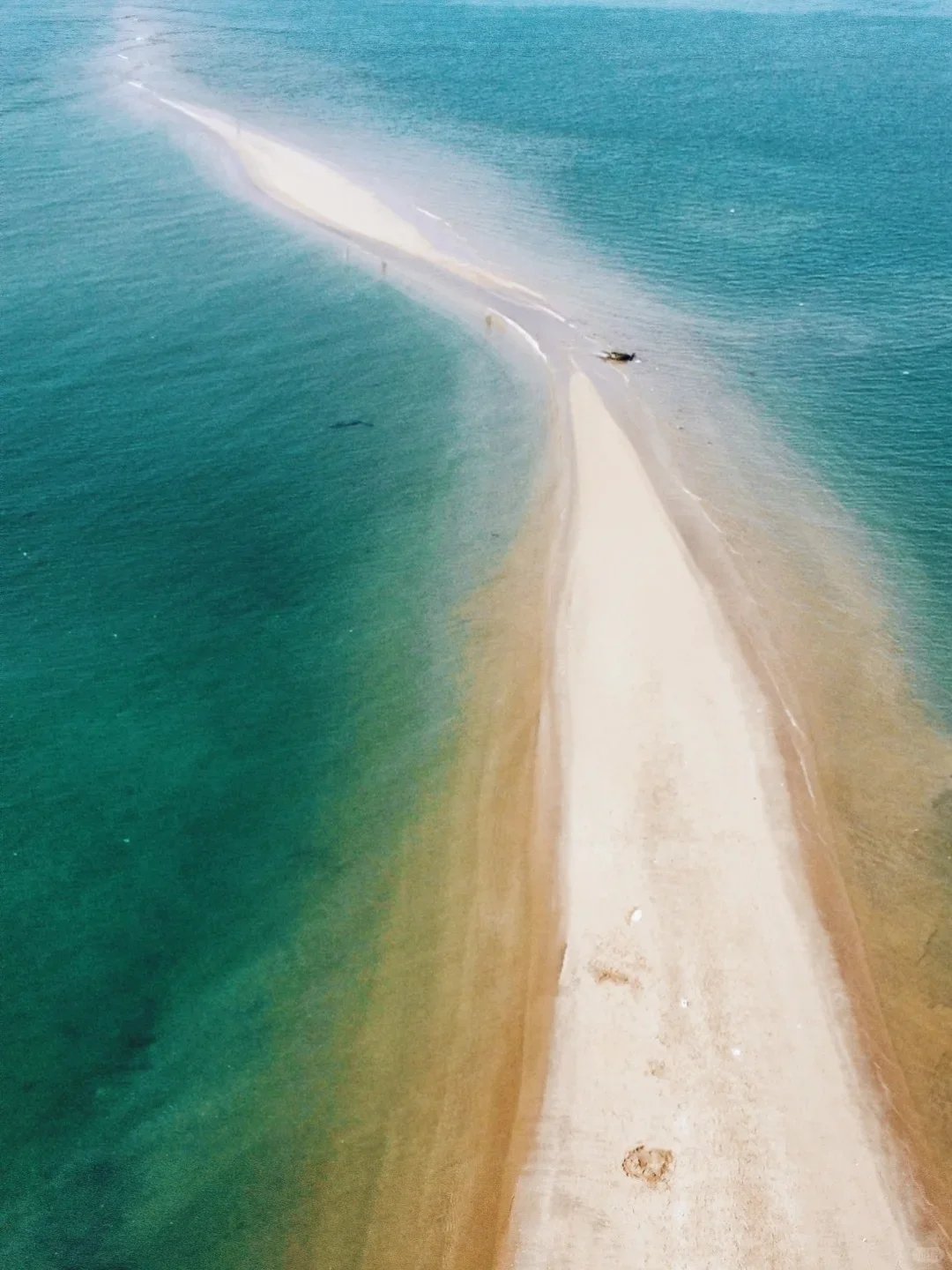 东山岛旅游攻略|必玩景点+海鲜打卡指南