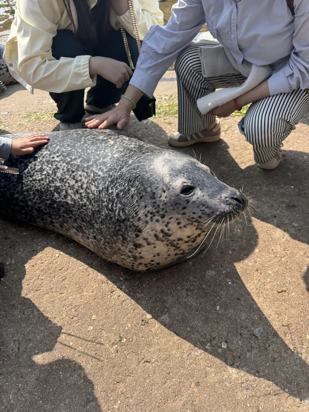 山东F4：青岛/威海/烟台/日照应该怎么选择🌊