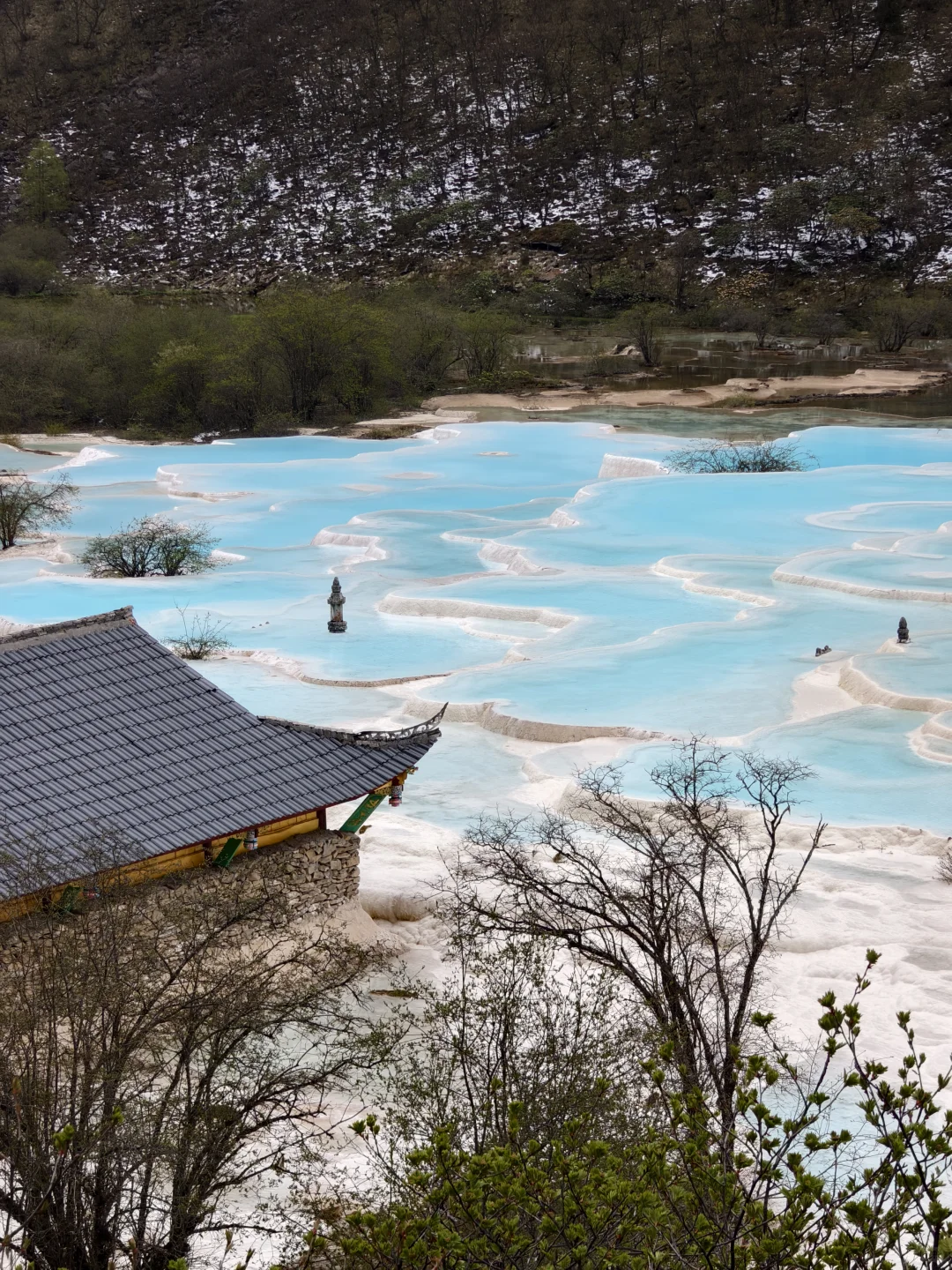 你想找的四川黄龙景区保姆级全攻略在这