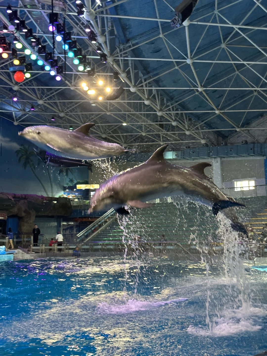 避暑大连！暑假必玩老虎滩攻略！